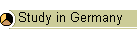 Study in Germany